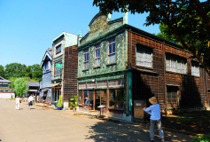 Muza chan's Japan Photo Gallery